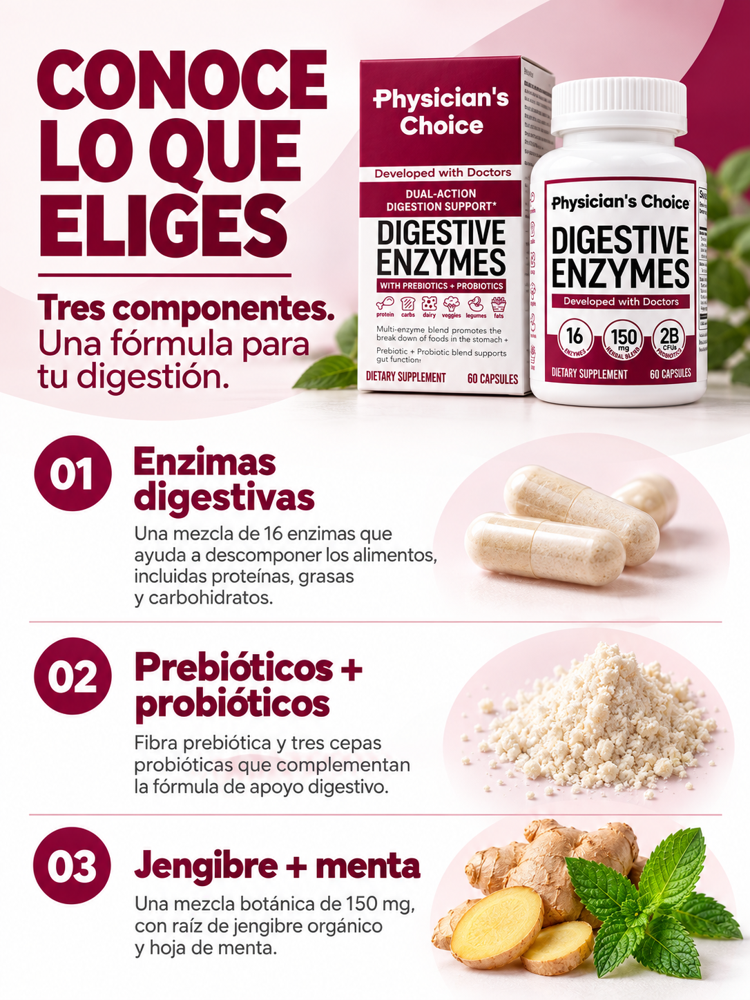 Conoce lo que eliges. Tres componentes: 16 enzimas digestivas que ayudan a descomponer proteínas, grasas y carbohidratos; fibra prebiótica y tres cepas probióticas; mezcla botánica de 150 mg con raíz de jengibre orgánico y hoja de menta.