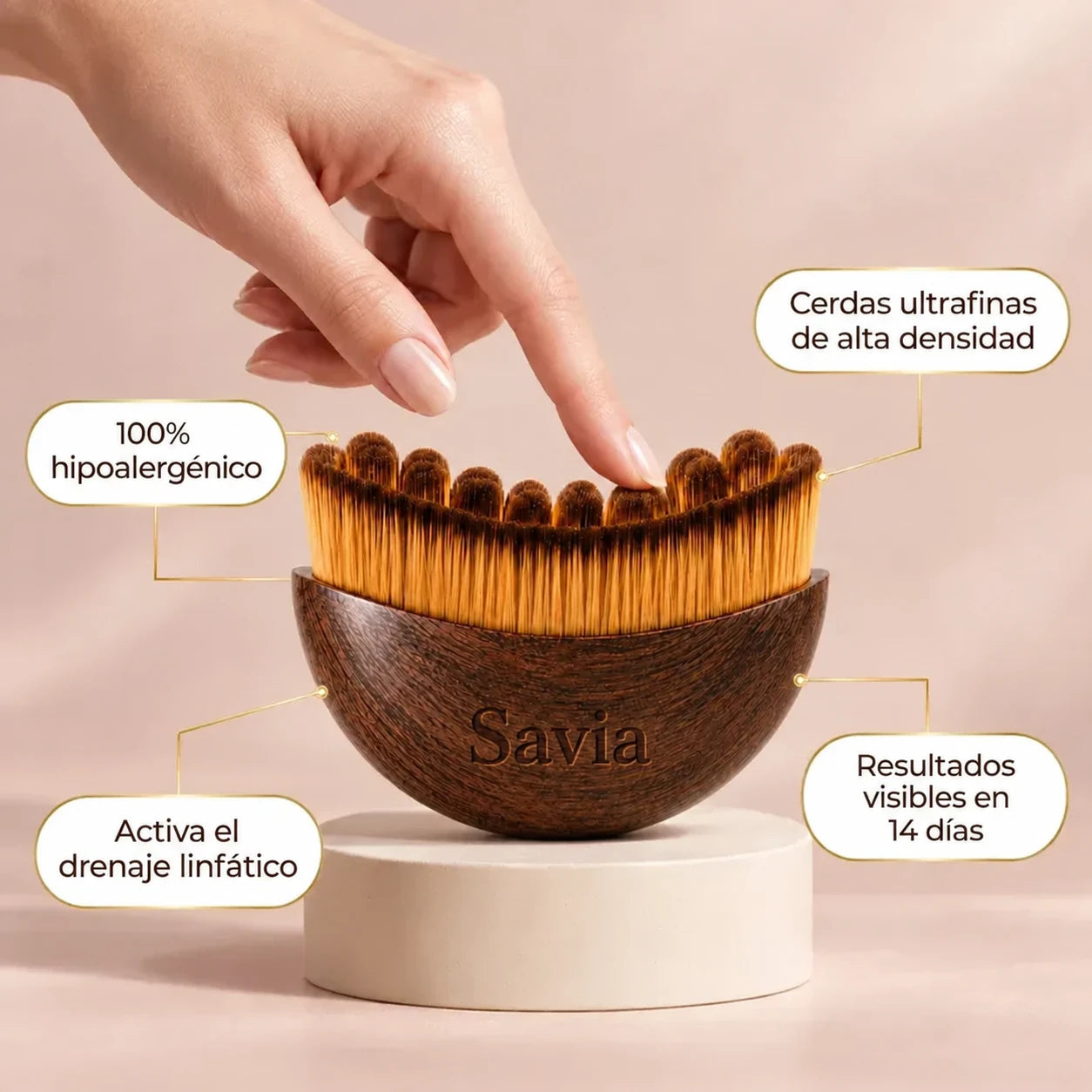 Características del cepillo Savia